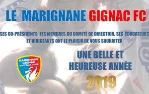 Meilleurs vœux pour 2019