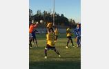 Victoire 3 à 1 du MGFC ( CFA) face à ALES (CFA2)